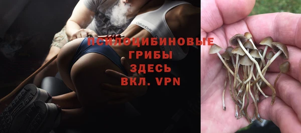 гашишное масло Алексеевка