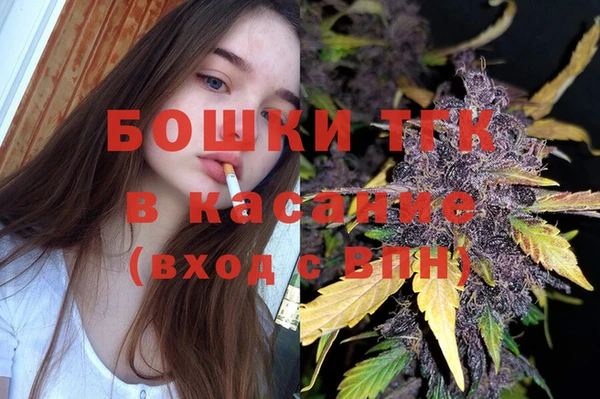 винт Алзамай