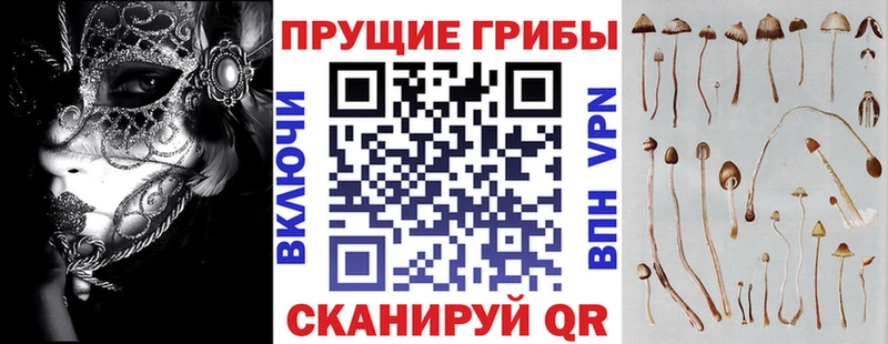 Галлюциногенные грибы GOLDEN TEACHER  блэк спрут зеркало  Гурьевск 