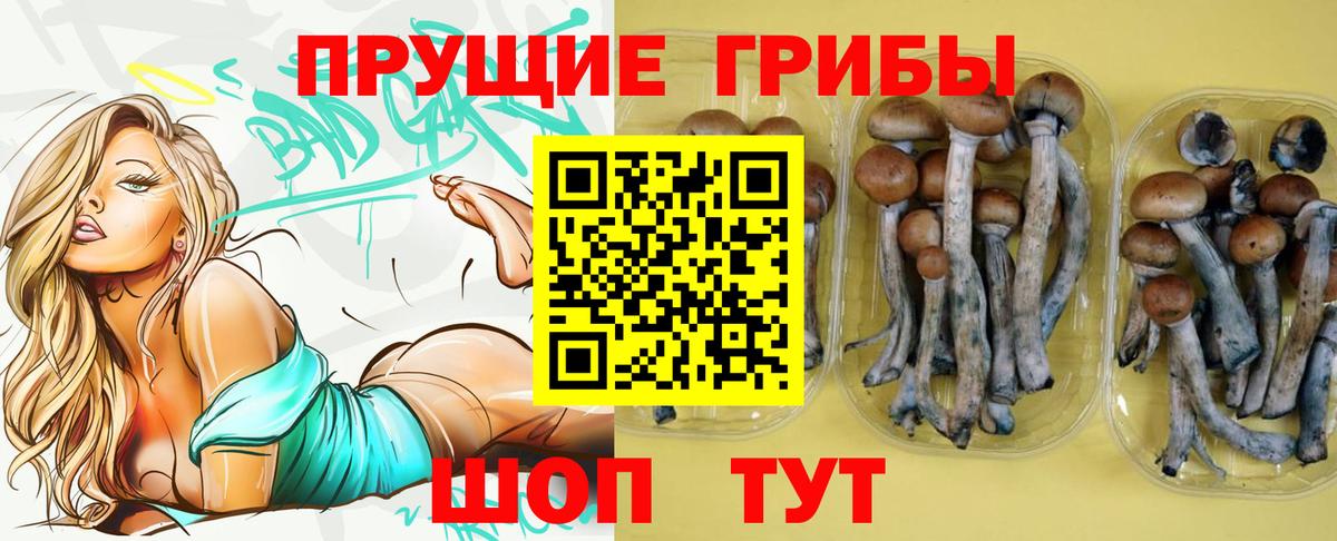 Псилоцибиновые грибы мухоморы  Вход с VPN  Гурьевск 